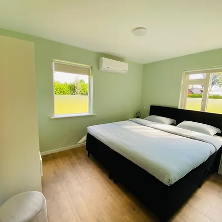 Morning Glory Jasmijn *