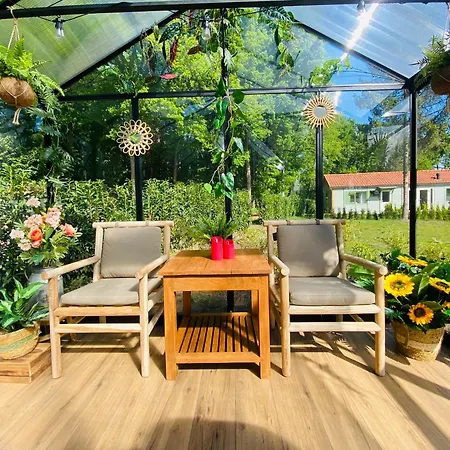 Morning Glory Jasmijn