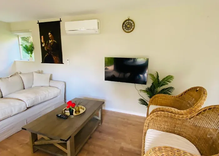 Morning Glory Jasmijn *