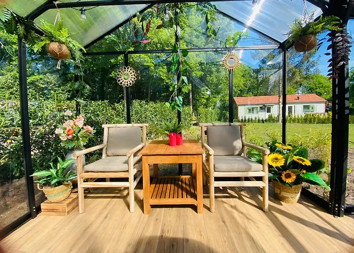 Morning Glory Jasmijn